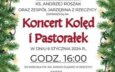 Jarzębina