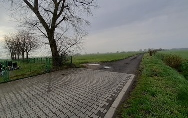 175356408_927453454745165_6807051974113538963_n