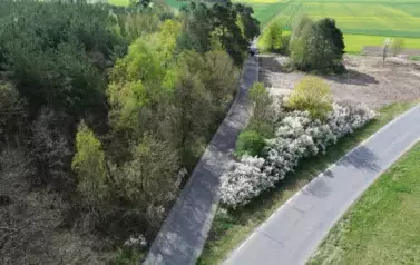 DJI_0544