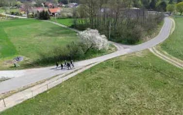 DJI_0524