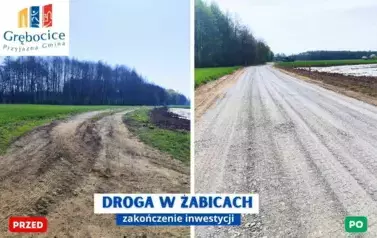 drogaZabice
