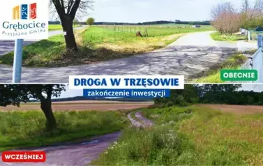 drogatrzesow