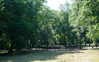 DSC00252 (1280x855)