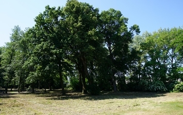 DSC00250 (1280x855)
