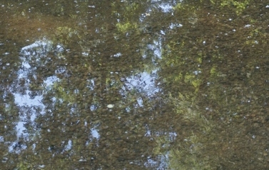 DSC00239 (1280x855)