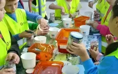 461339419_931958868969155_428677346589189290_n-500x500