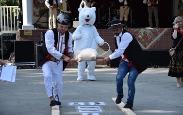 DSC_0214 (1280x853)