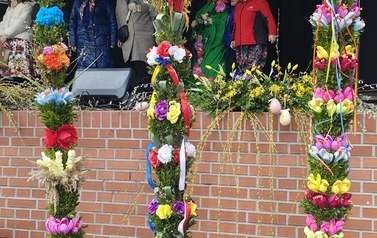 IMG_20250322_164857