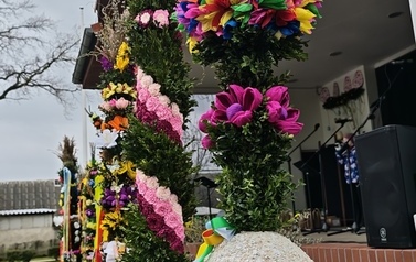 IMG_20250322_153949
