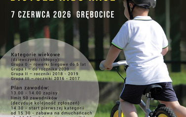 plakat visegrad 4 2026