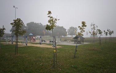 IMG_20261003_104947