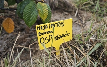 IMG_20261003_103856