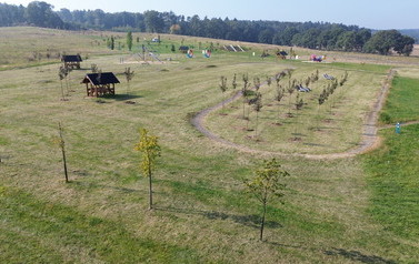 DJI_0225