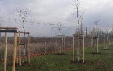 IMG_20211125_122535