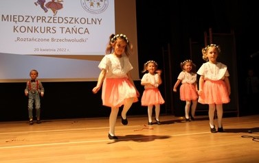 taniec grupa Mr&oacute;wki 1