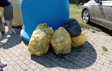 IMG_20230422_113345