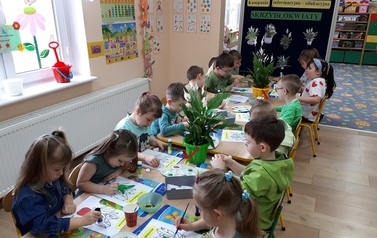 sadzimy skrzydłokwiaty Stokrotki