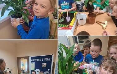 Dzieci z oddziału Biedronek sadzą skrzydłokwiaty (3)