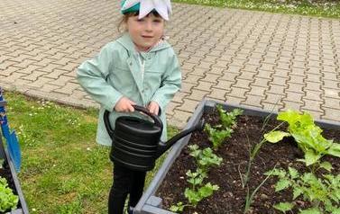 Warzywniak dzieci z oddział&oacute;w Mr&oacute;wki i Pszcz&oacute;łki (18)