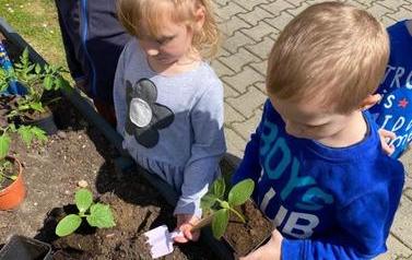 Warzywniak dzieci z oddział&oacute;w Mr&oacute;wki i Pszcz&oacute;łki (16)