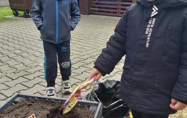 Warzywniak dzieci z oddział&oacute;w Mr&oacute;wki i Pszcz&oacute;łki (5)