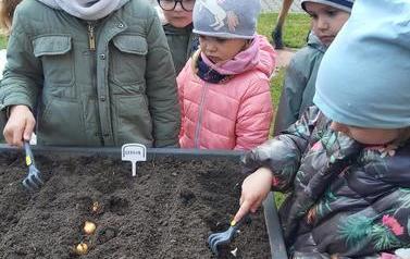 Warzywniak dzieci z oddział&oacute;w Mr&oacute;wki i Pszcz&oacute;łki (2)