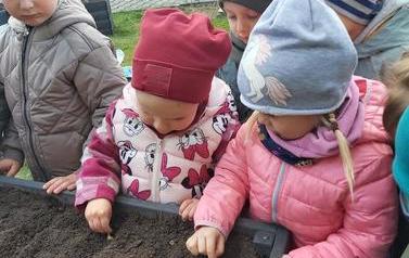 Warzywniak dzieci z oddział&oacute;w Mr&oacute;wki i Pszcz&oacute;łki (36)