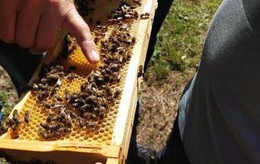 IMG_20230627_102623