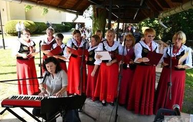 113175_tdZF_DSC_0101_98