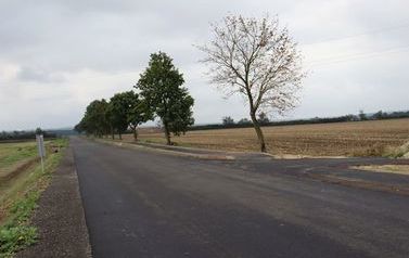 IMG_2612