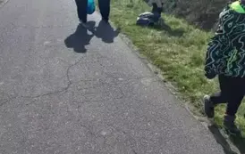 Resized_20250405_103437_1743852798246