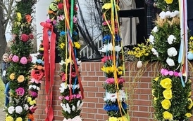 IMG_20250322_164904