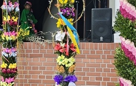 IMG_20250322_164848