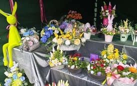 IMG_20250322_150115