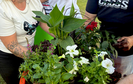 IMG-20260619-WA0005