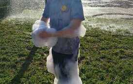 IMG-20260627-WA0023