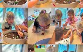 IMG-20260817-WA0003