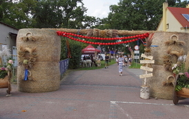 DSC03512