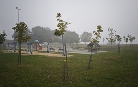 IMG_20261003_104947