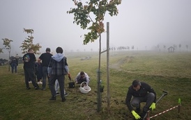 IMG_20261003_104632