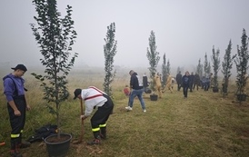 IMG_20261003_102218