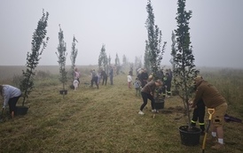 IMG_20261003_101407