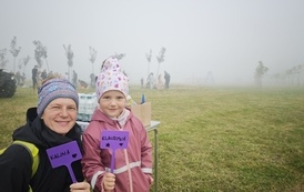 IMG_20261003_101252