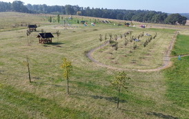 DJI_0225