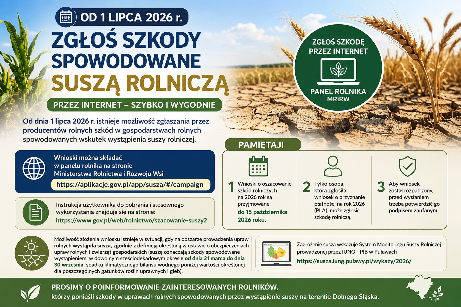 grafikasusza