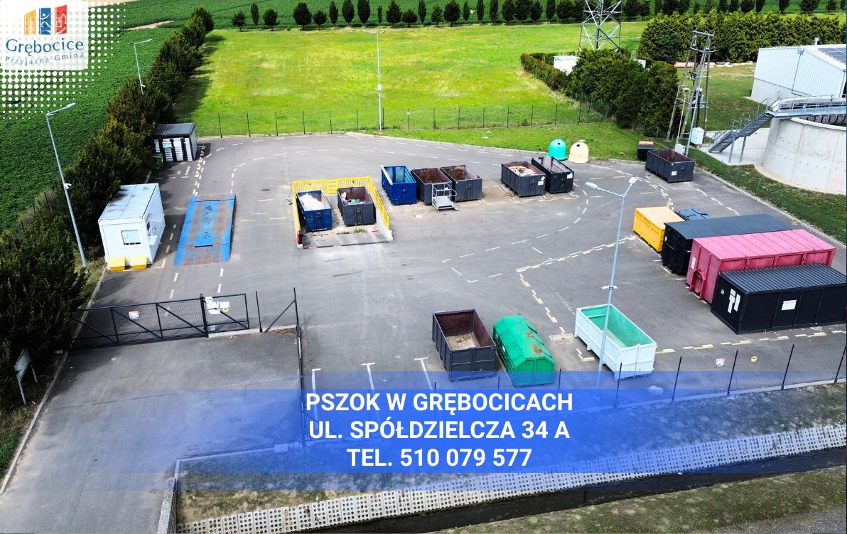 pszok-(1)