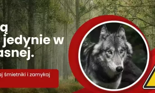 Zdjęcie do UWAGA WILKI !