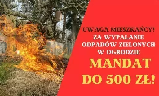 Zdjęcie do  Nie wypalaj odpad&oacute;w zielonych, nie pal śmieci - dbaj o siebie i innych!