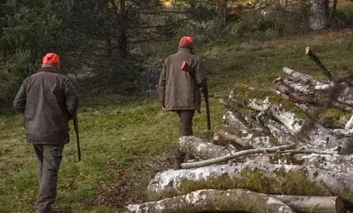 Zdjęcie artykułu z dnia 02-10-2025