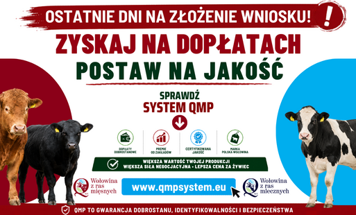 Zdjęcie artykułu z dnia 19-05-2026
